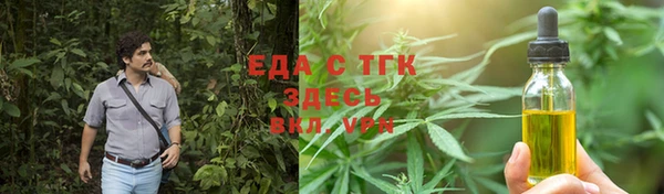 прущие грибы Инта