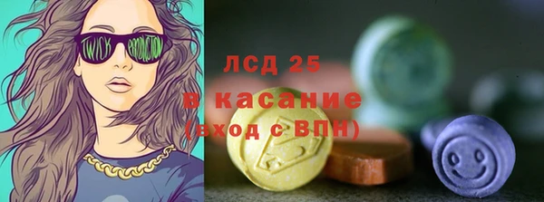 прущие грибы Инта