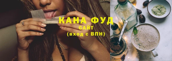 МДПВ Инсар