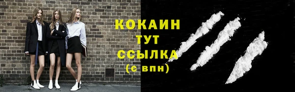 МДПВ Инсар