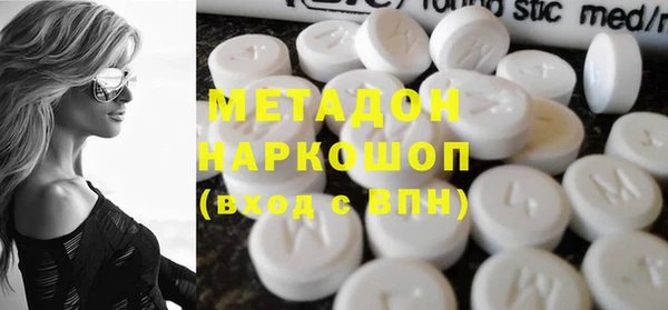прущие грибы Инта