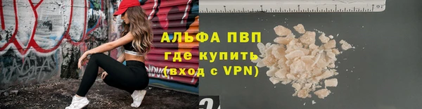МДПВ Инсар