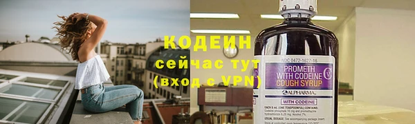 прущие грибы Инта