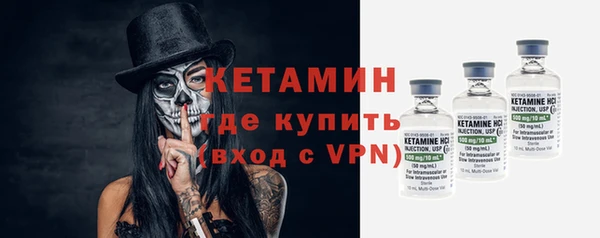 прущие грибы Инта