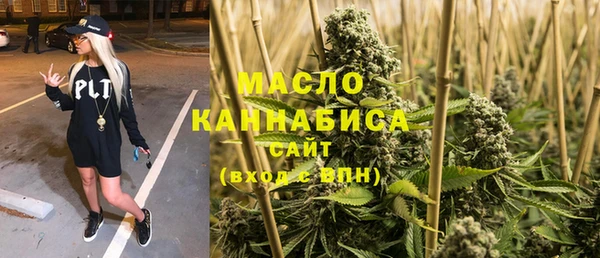 прущие грибы Инта