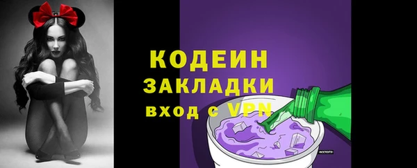 МДПВ Инсар