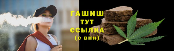 МДПВ Инсар