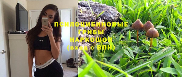 МДПВ Инсар