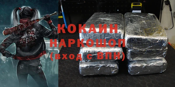МДПВ Инсар