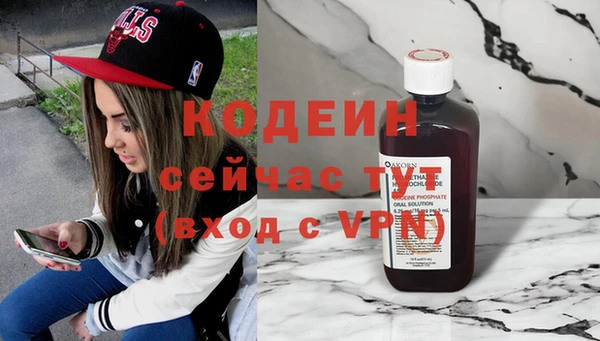 прущие грибы Инта