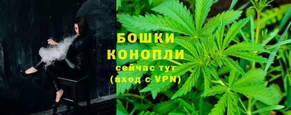 МДПВ Инсар