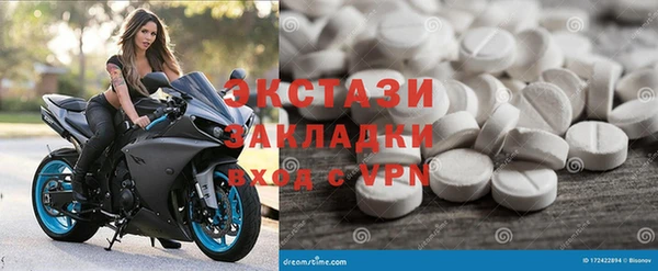 прущие грибы Инта