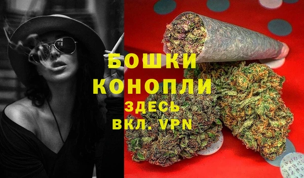 прущие грибы Инта