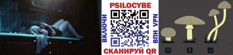 Псилоцибиновые грибы Psilocybine cubensis  Купить  Благодарный 